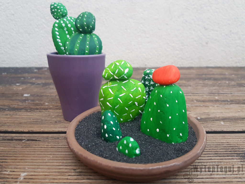 Kaktusy z malowanych kamieni