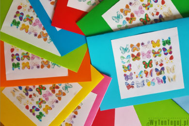 Kartki z motylkami