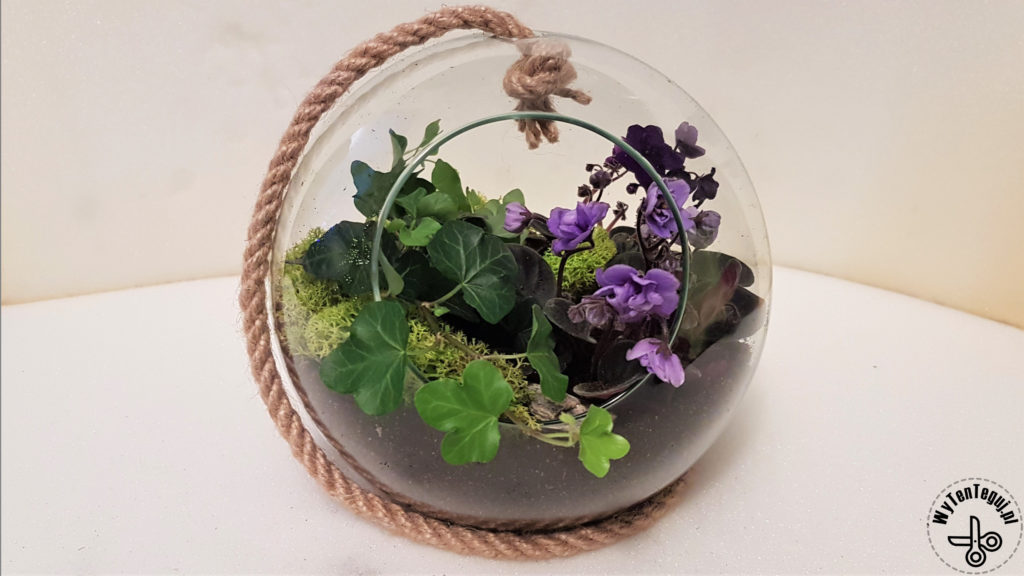 Forest in a jar or in a sphere