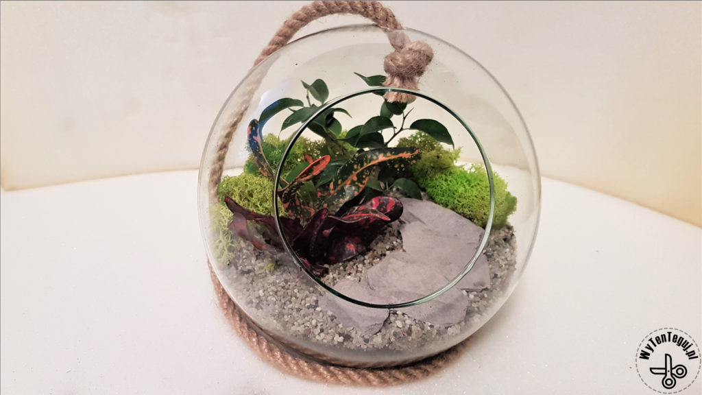 Forest in a jar