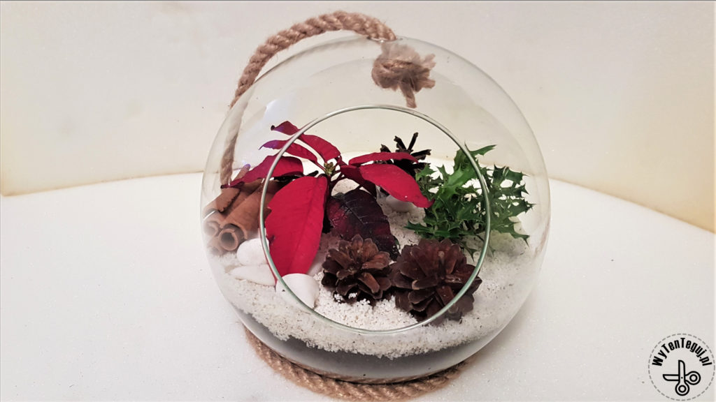 Forest in a jar in Christmas edition