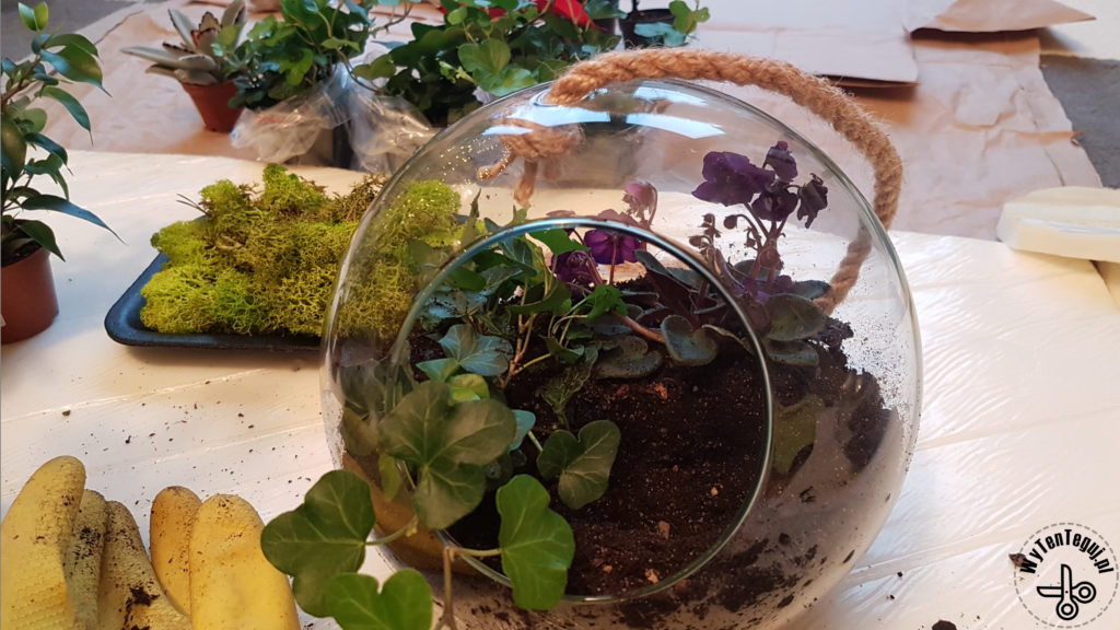 Planting in a jar