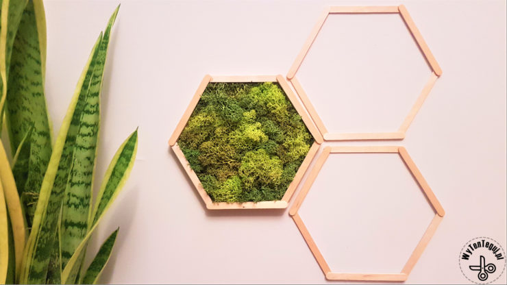 Hexagonal frame with reindeer lichen