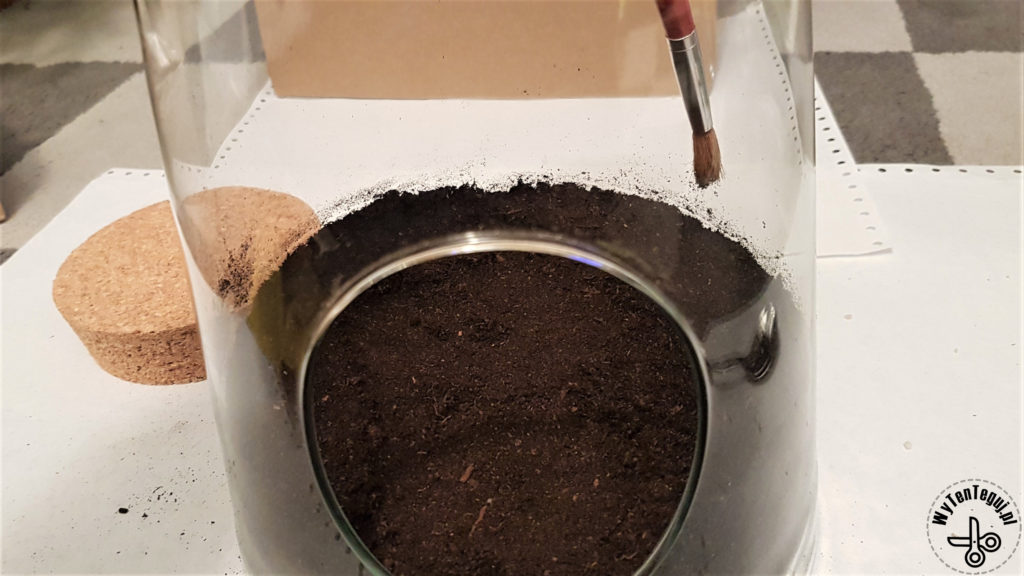 Layer of soil