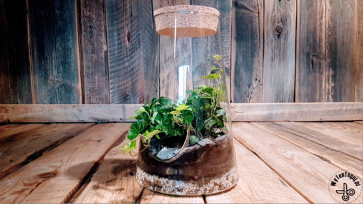 Modern forest in a jar