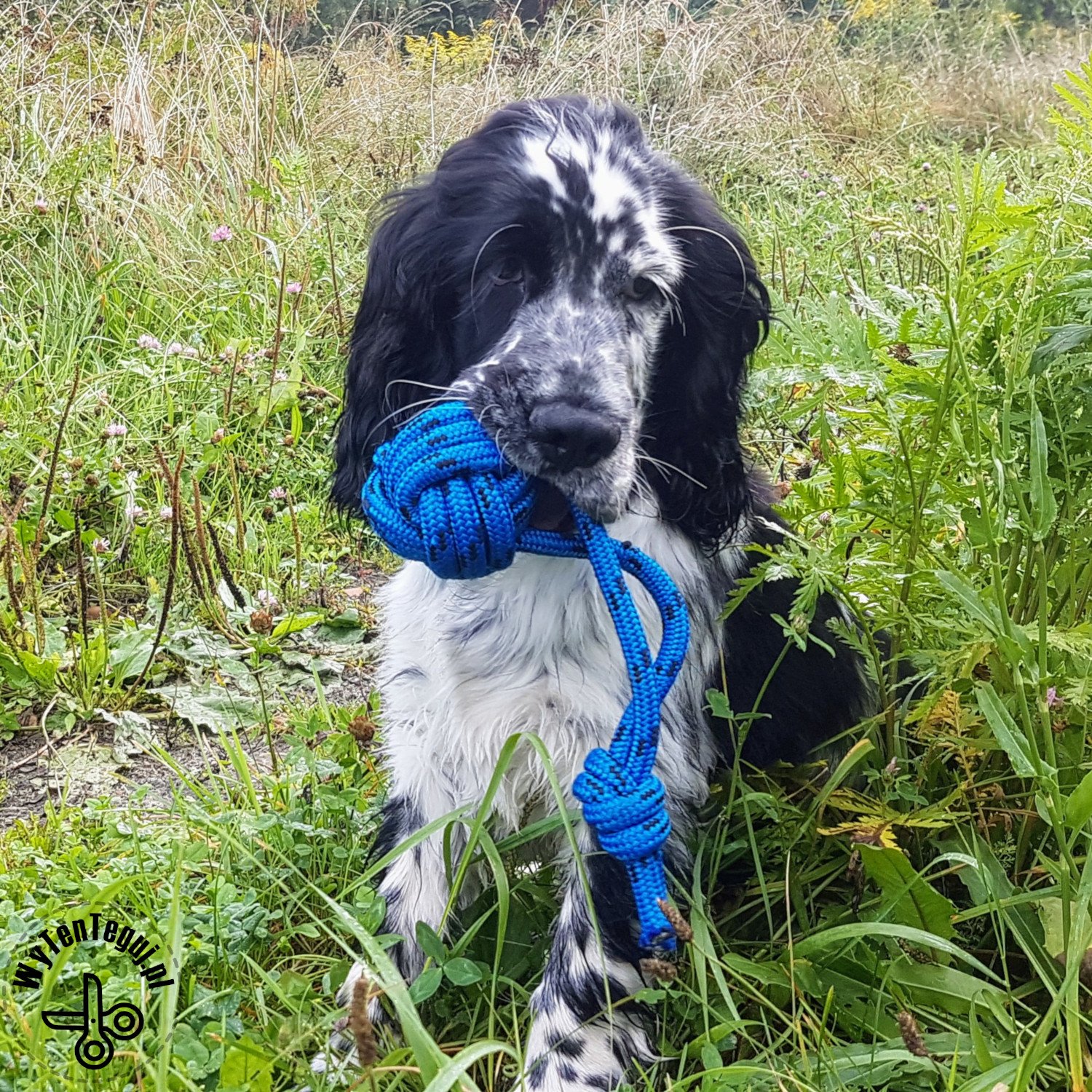 How do you make a monkey fist dog toy? WyTenTeguj