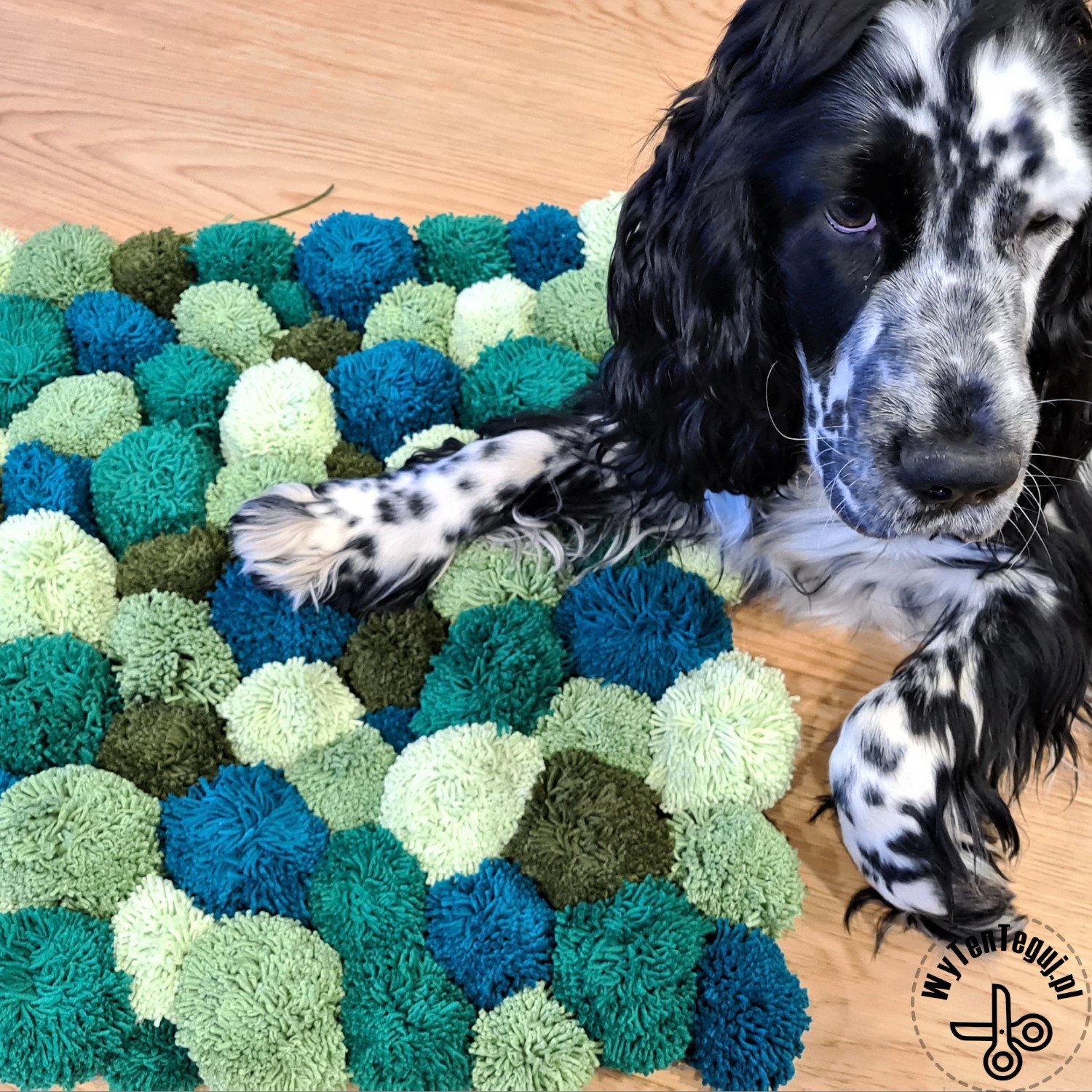 Pom Rig How to make the pom pom rug? - WyTenTeguj