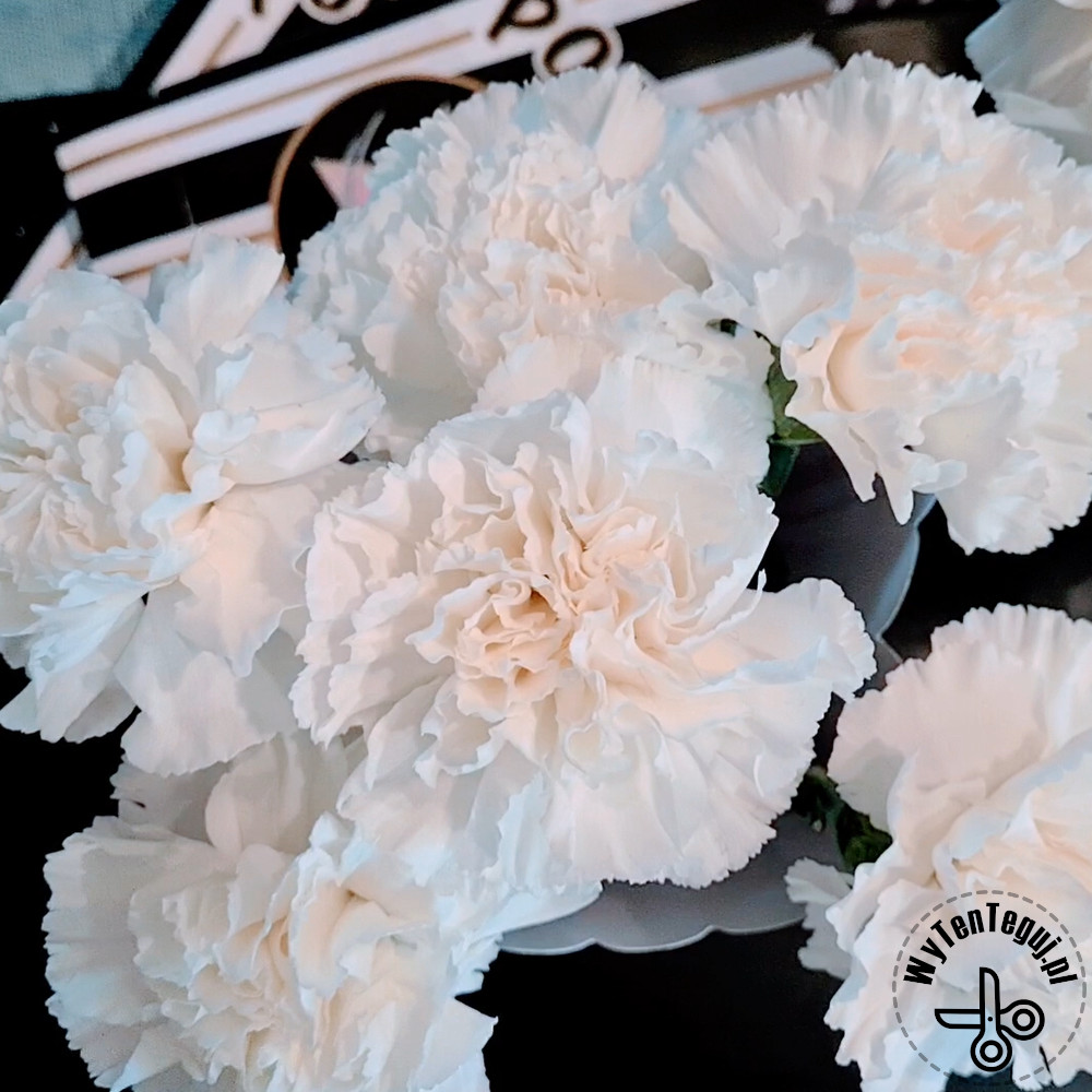 Making of carnation bouquet