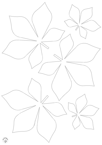 Chestnut leaf template