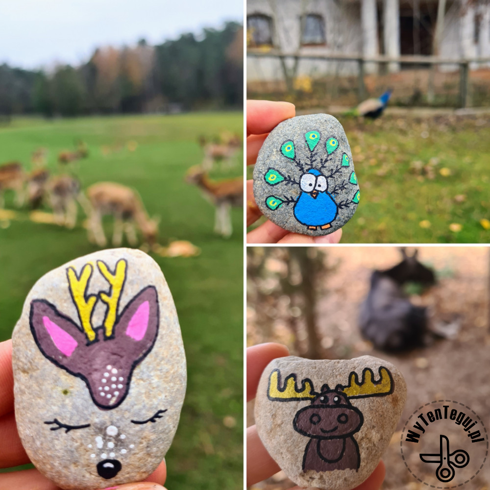 Painted rock animals
