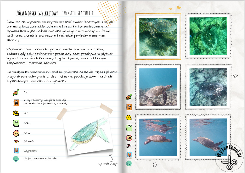 Photo book about sea animals on Maldives