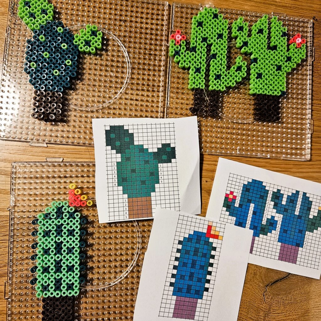 układanie kaktusów